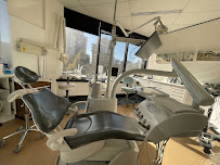 Dentist in the Park