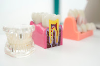 Quality Dental