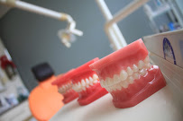Shakespeare Orthodontics Takapuna