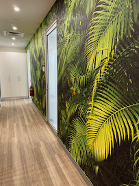 Integrative Dental - Dr Phillip Stein