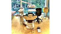 The Affordable Dentist Sydney in Sydney