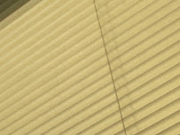HCF Dental Centre Bondi