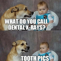 Waverley Family Dental