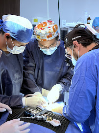 Kita Dental