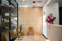 Ultra Smiles Dental