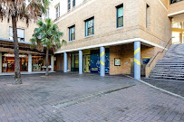 Tooth Crusader UNSW in Sydney