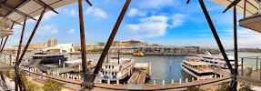 Sydney Harbour Dental Barangaroo Sydney CBD