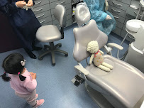 Dental 266 - Burwood Dentist