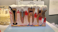Sydney Smile Care - Burwood