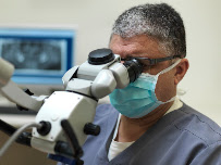 Harlamb Endodontics