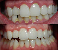 Dental Members Macquarie St