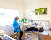 Vivid Dental