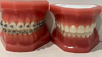 Sussex Dental Care