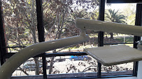 Sydney Implant Institute