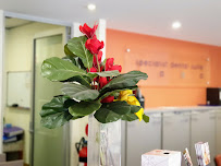 Specialist Dental Suite