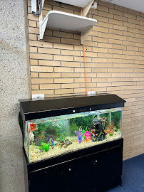 Westmead Centre for Oral Health