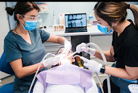 Surry Hills Dental Care