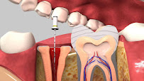 Dr. Leila Zamani Dental Practice