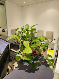 City Dental – Experteeth Dental益白齿科 Market street