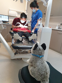 Victoria Street Dental