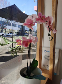 Milestone Dental